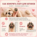 411 FB Сапожки летние из сетки